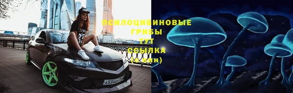 стаф Новодвинск
