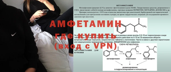 стаф Новодвинск