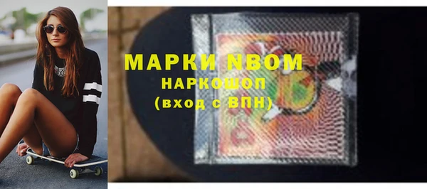 стаф Новодвинск