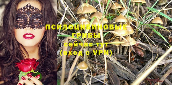 СК Нея