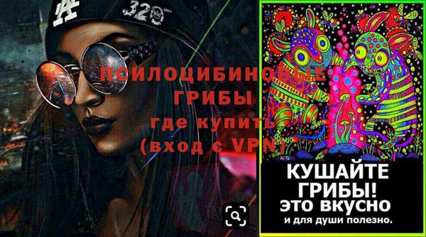 ГАЛЛЮЦИНОГЕННЫЕ ГРИБЫ Новозыбков
