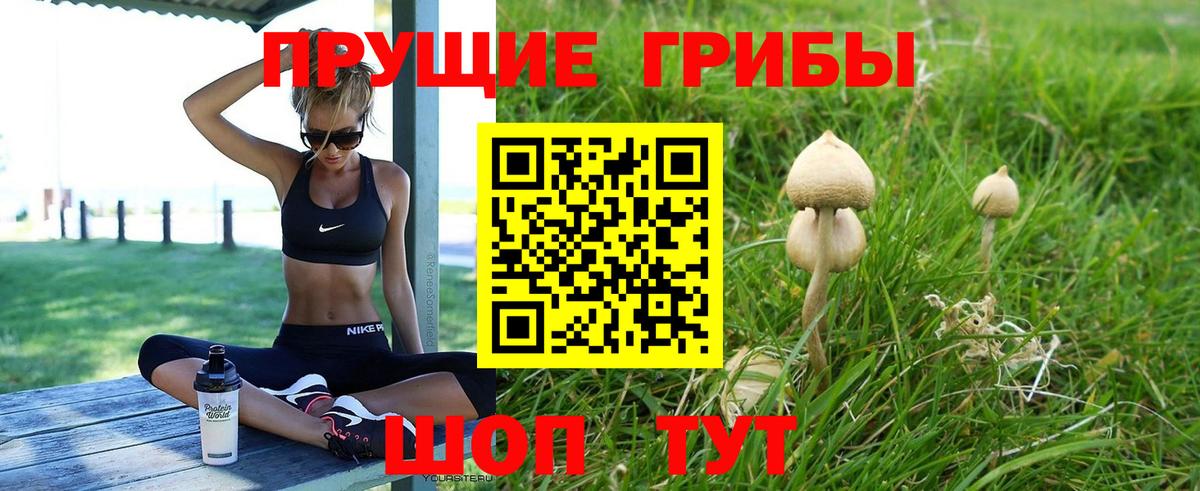 Псилоцибиновые грибы Cubensis  Галлюциногенные грибы Cubensis  Отрадный  Вход с VPN 